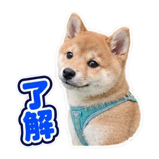 了解