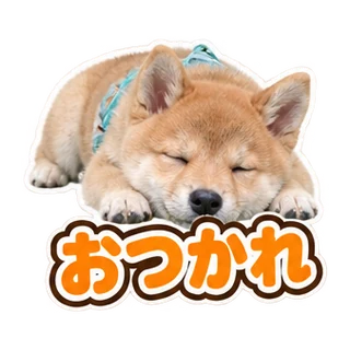 おつかれ