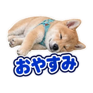 おやすみ